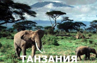 Туры из Харькова - Танзания